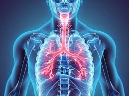Respiratory